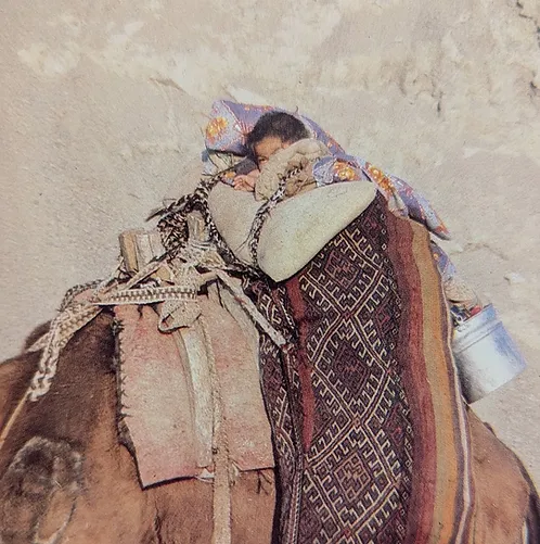 Turkish-Child-On-Camelback.jpg